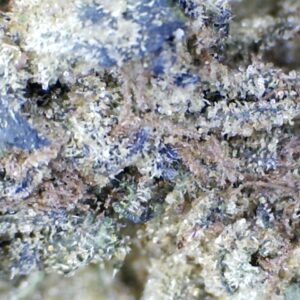 Purple Space Cream by Humboldt Farms
